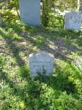 image of grave number 787421